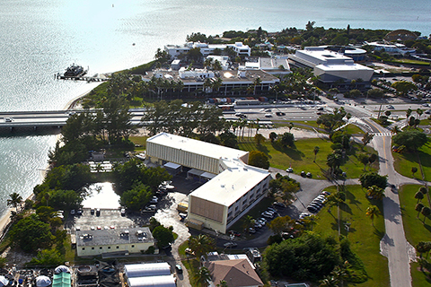 Rosenstiel school